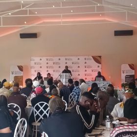 631882439_17883171165450708_3989652388630513039_n.webp copy